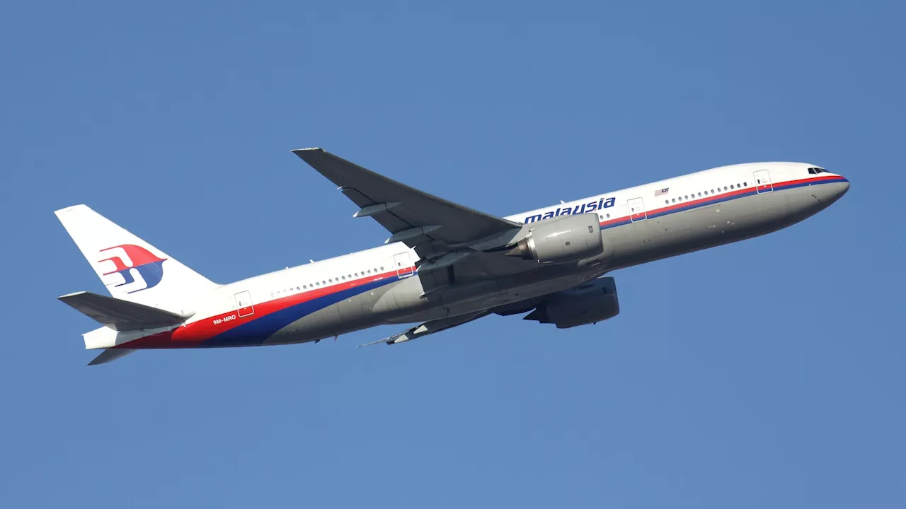 Fresh hope to solve the Malaysia Airlines MH370 mystery after underwater search expert vows to find...