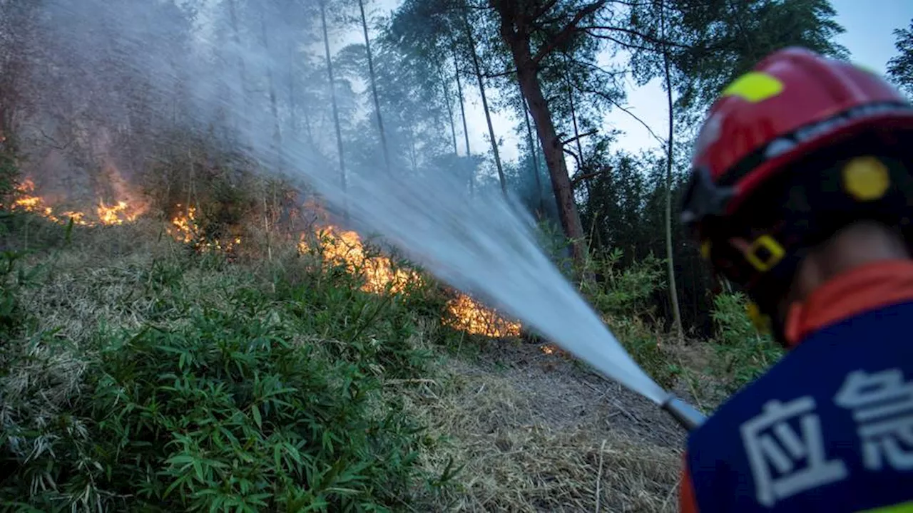 Thousand evacuated as wildfire rages on China's southern province