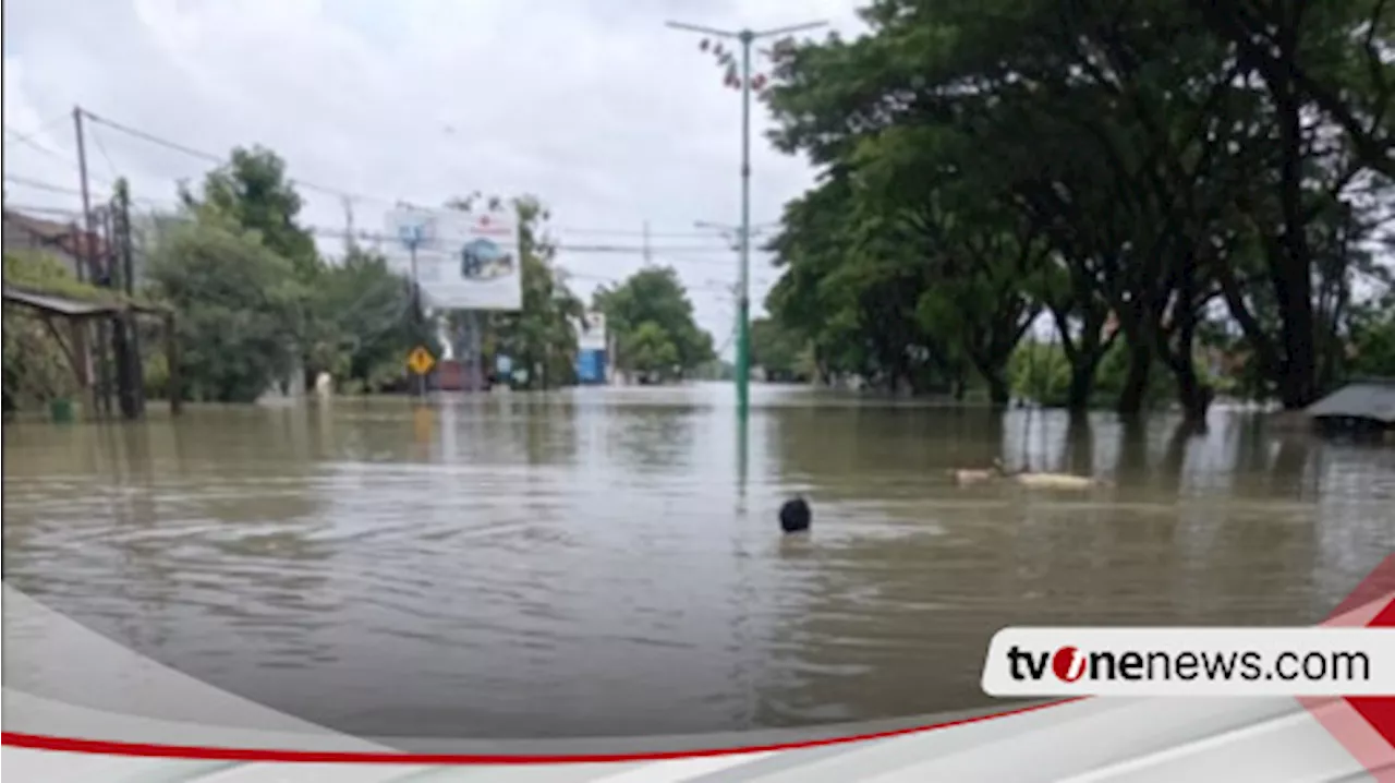 Tanggul Jebol Lagi, Karanganyar Demak Diterjang Banjir, BPBD Jateng : Warga Diungsikan ke PHI Gajah