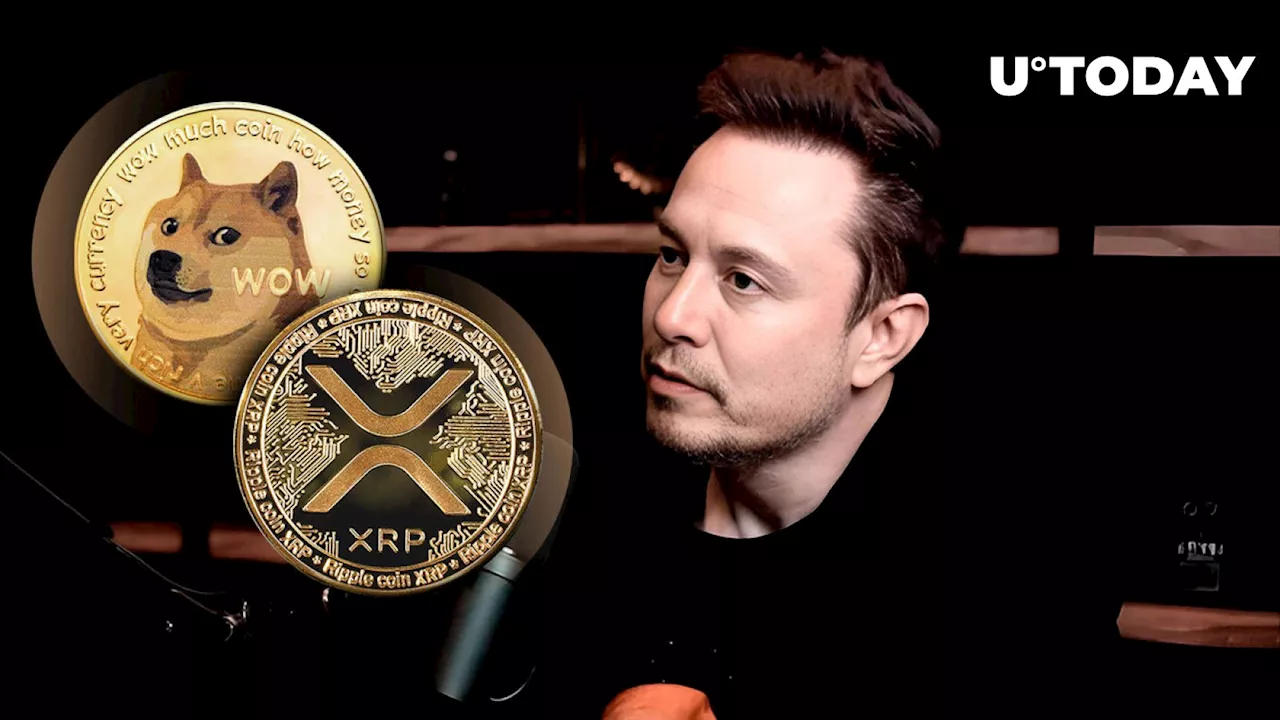 Elon Musk Triggers Reaction From XRP and Dogecoin Community With Intriguing Tweet