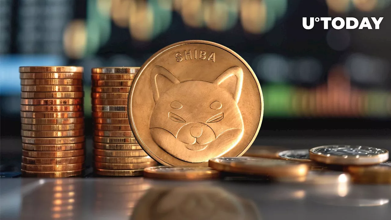 Shiba Inu Faces Dilemma at 81 Trillion SHIB Level as Price Dips 29%