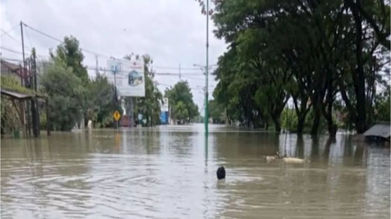 Tanggul Jebol Akibatkan Karang Anyar Demak Banjir, Akses Pantura Semarang-Kudus Terputus