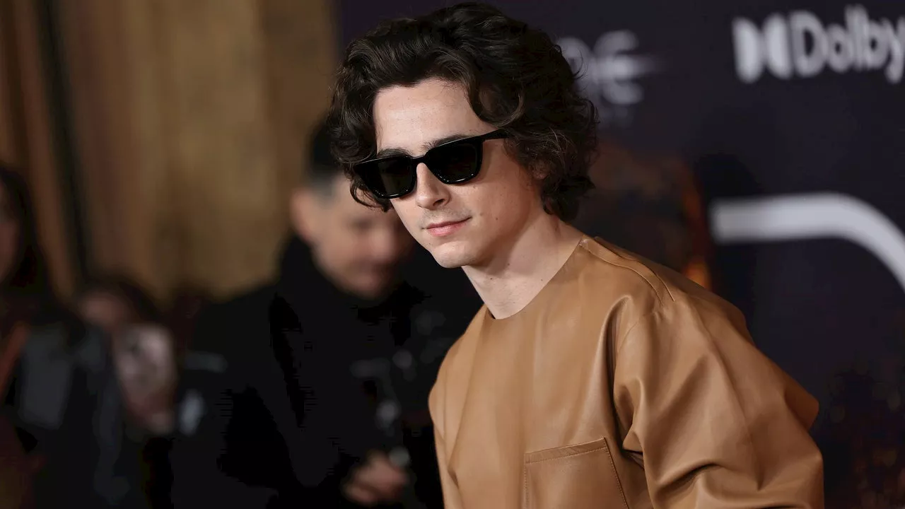 Everything We Know So Far About Timothée Chalamet’s Bob Dylan Biopic