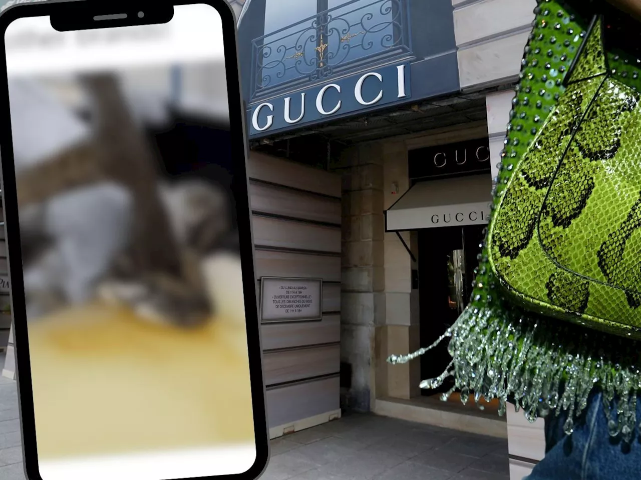 Grausame Praktiken aufgedeckt: Gucci unter Verdacht