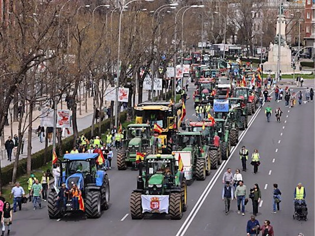 Neue Bauernproteste in Spanien und Polen