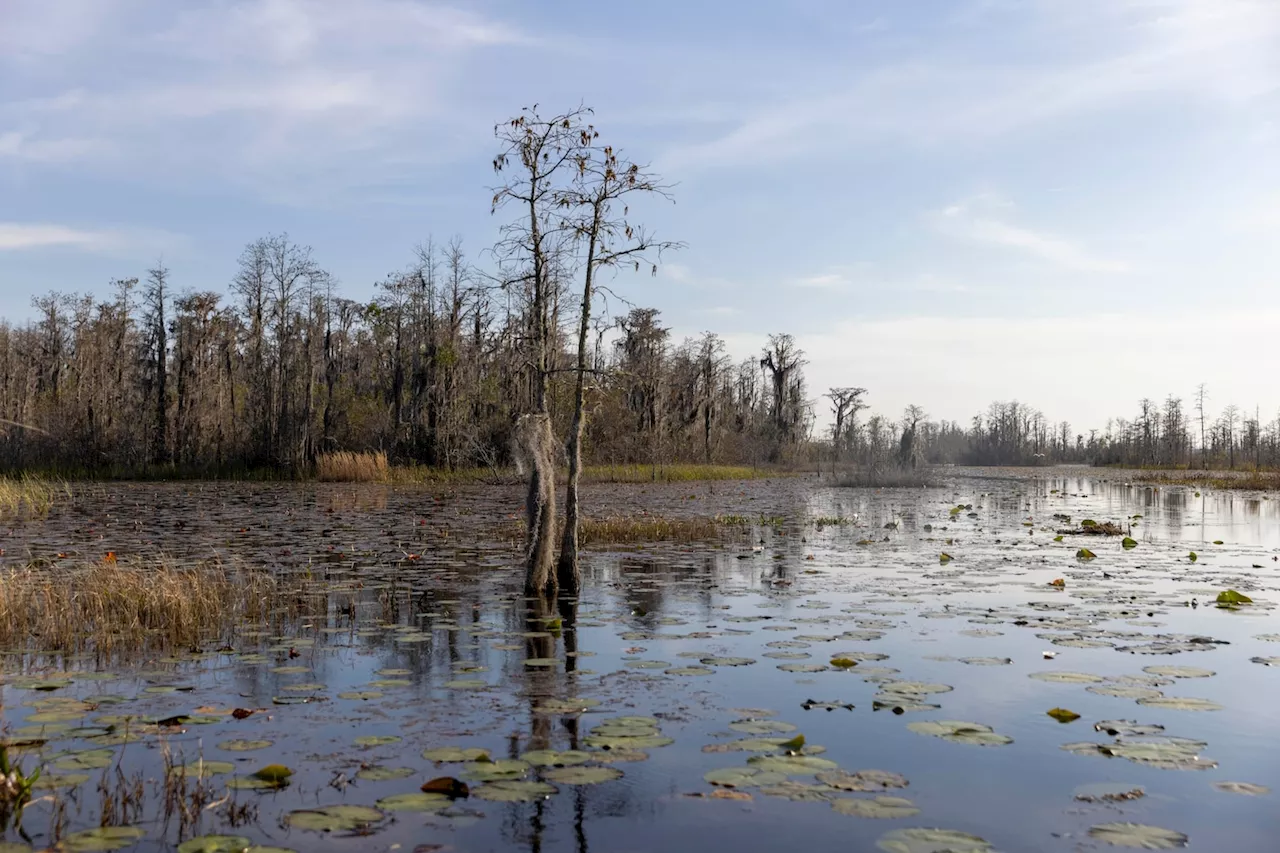 Georgia could greenlight a mine near one of the South’s last wild places