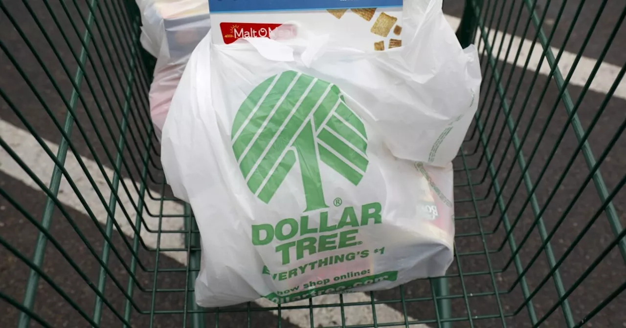 Dollar store closures impact lower-income, rural customers most