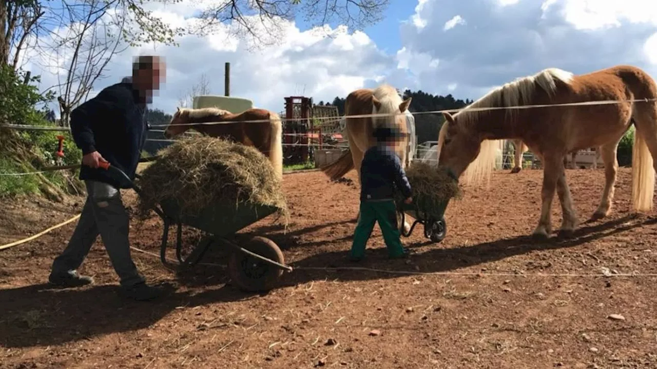 Beim Brand in Pfaffnau kam ein älteres Ehepaar ums Leben