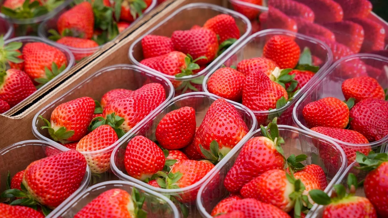 Detectan en Valencia un segundo lote de fresas con Hepatitis A importadas desde Marruecos