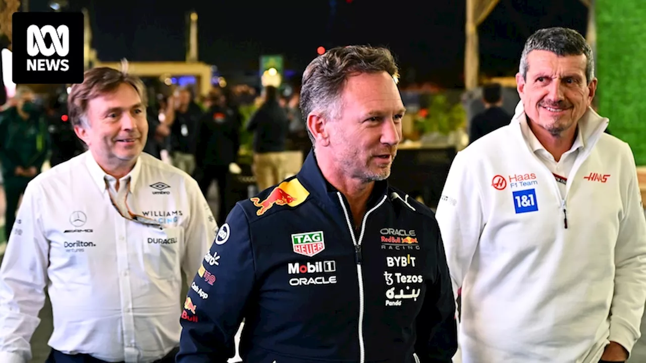 Guenther Steiner speaks on Christian Horner texting scandal and F1's great divide