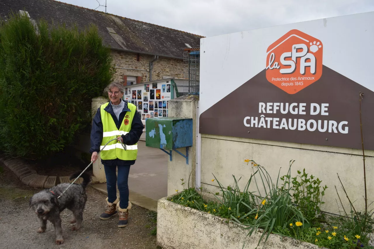 SPA de Vitré et Châteaubourg : un lieu ciblé pour réunir les deux refuges