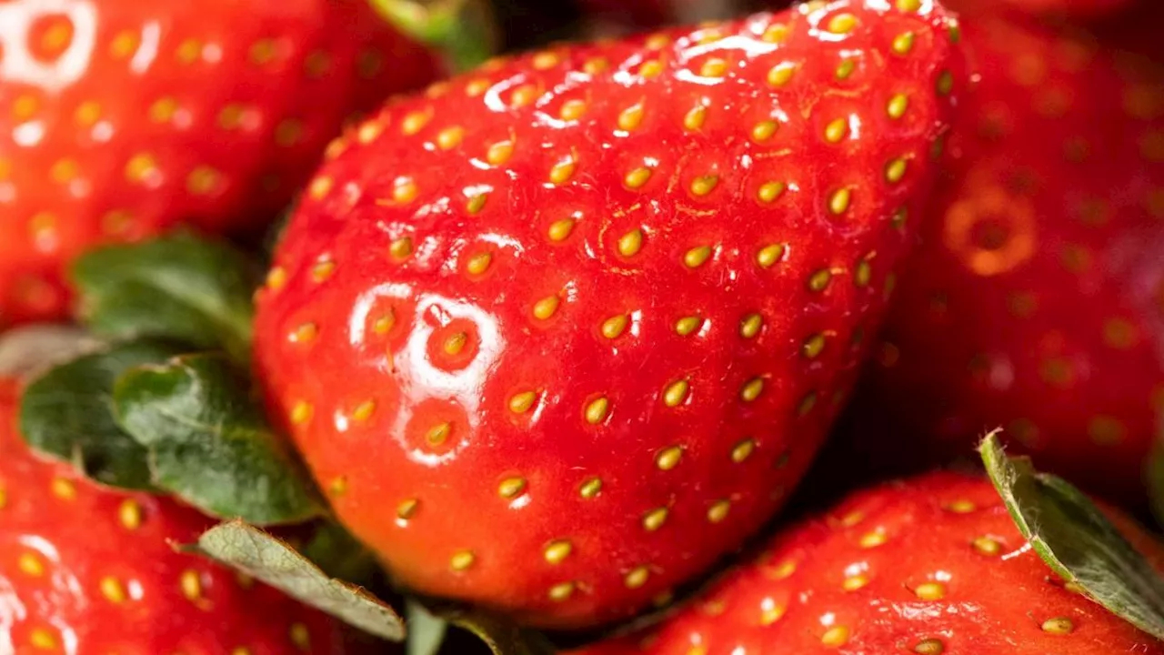 Sehr viel Folat: Diese Vitamine liefern Erdbeeren