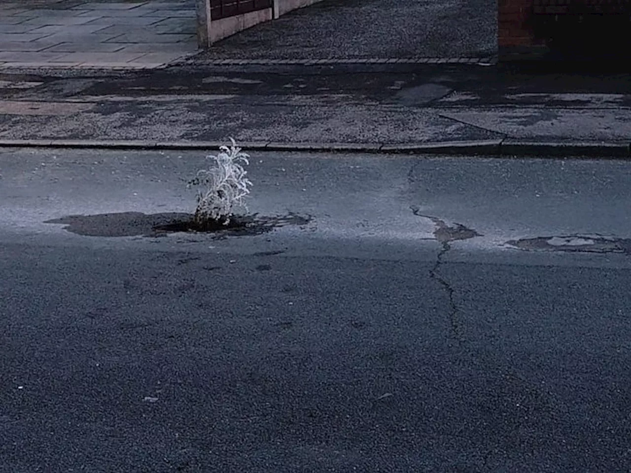 Preston reacts to ‘absolutely atrocious’ roads as five due to be resurfaced in the city