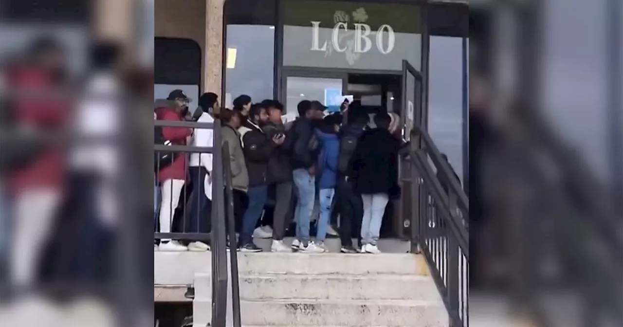 Viral video shows huge lineup of people looking for jobs at LCBO warehouse in Ontario