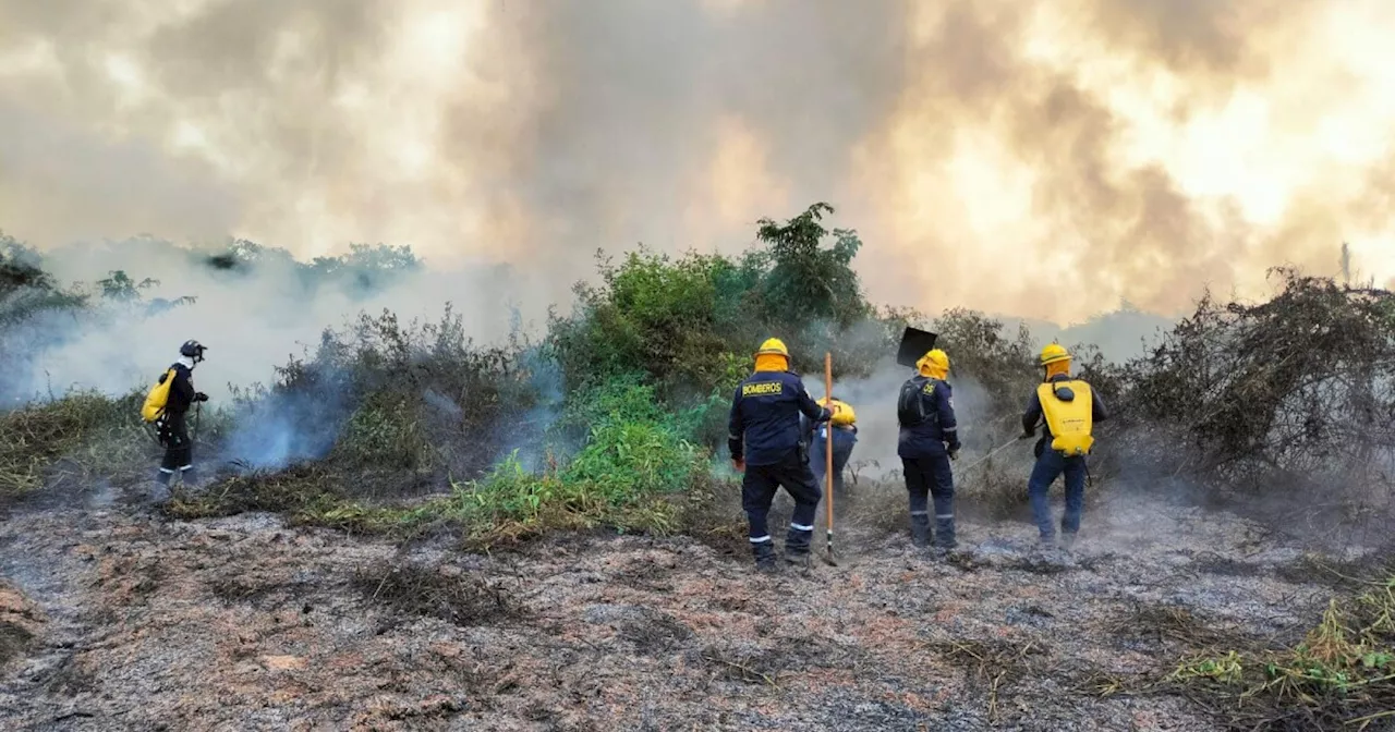 Incendio en ciénaga San Silvestre, Barrancabermeja, afectó 2.000 hectáreas; empezará recuperación