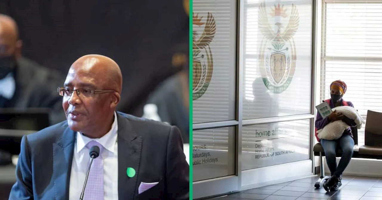 Minister Aaron Motsoaledi Asks SIU To Probe Fraud at Home Affairs