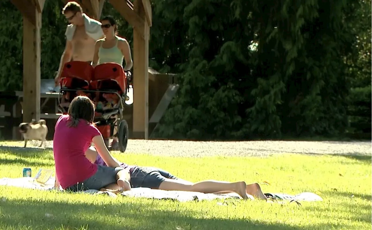 Health officers warn against alcohol in Metro Vancouver parks