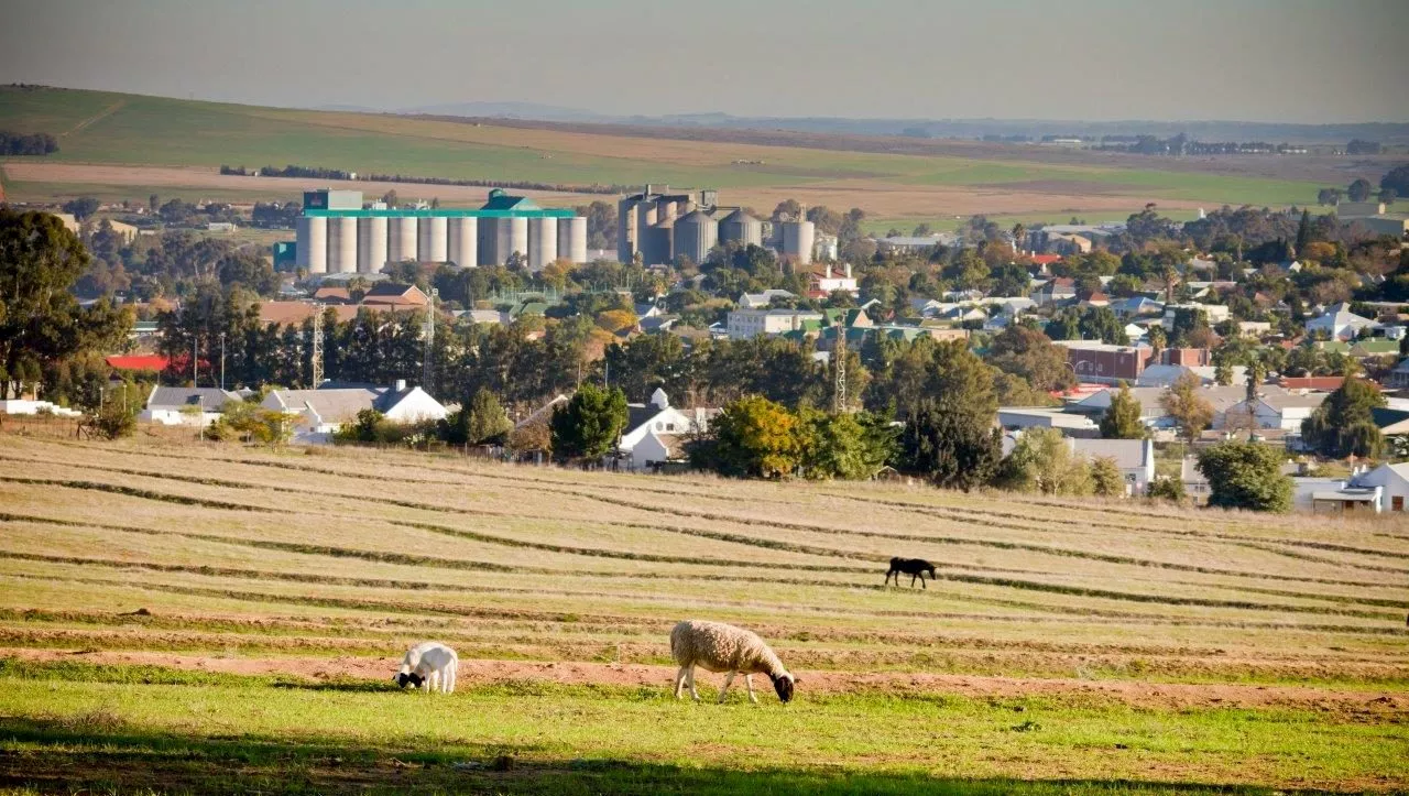 South Africa's Best-Performing Municipalities Revealed in Good Governance Africa's Report