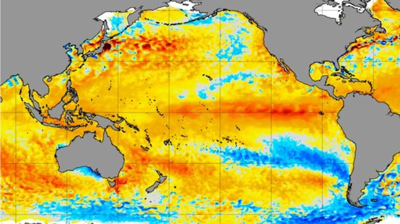 Sama-Sama Bikin Sengsara, Ini Bedanya El Nino dan La Nina