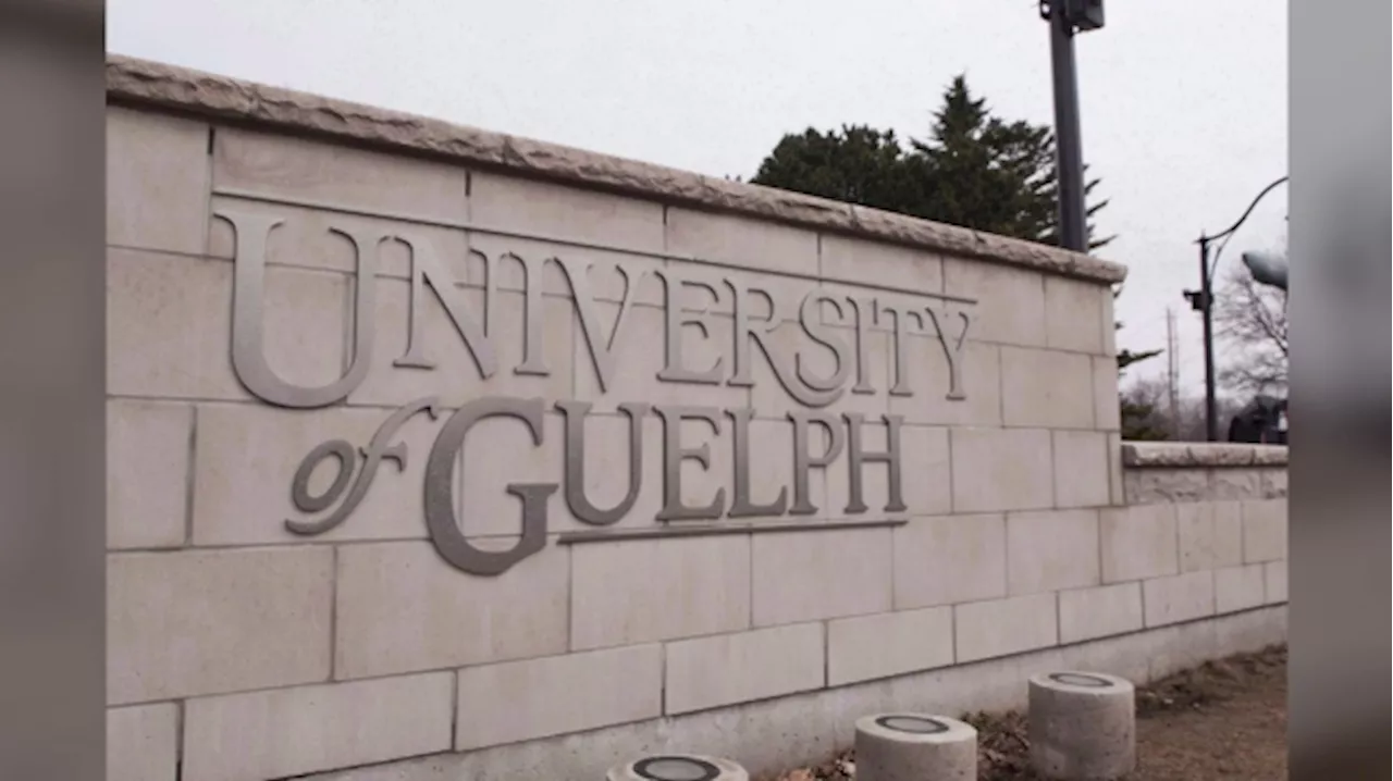 Alcohol recovery room at University of Guelph helps ease ER pressure, hospital says