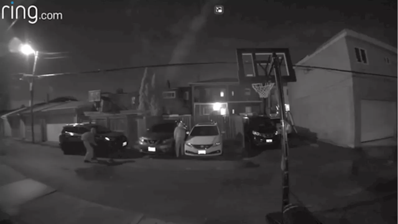 Suspects slash tires, run away in new video released by Toronto police