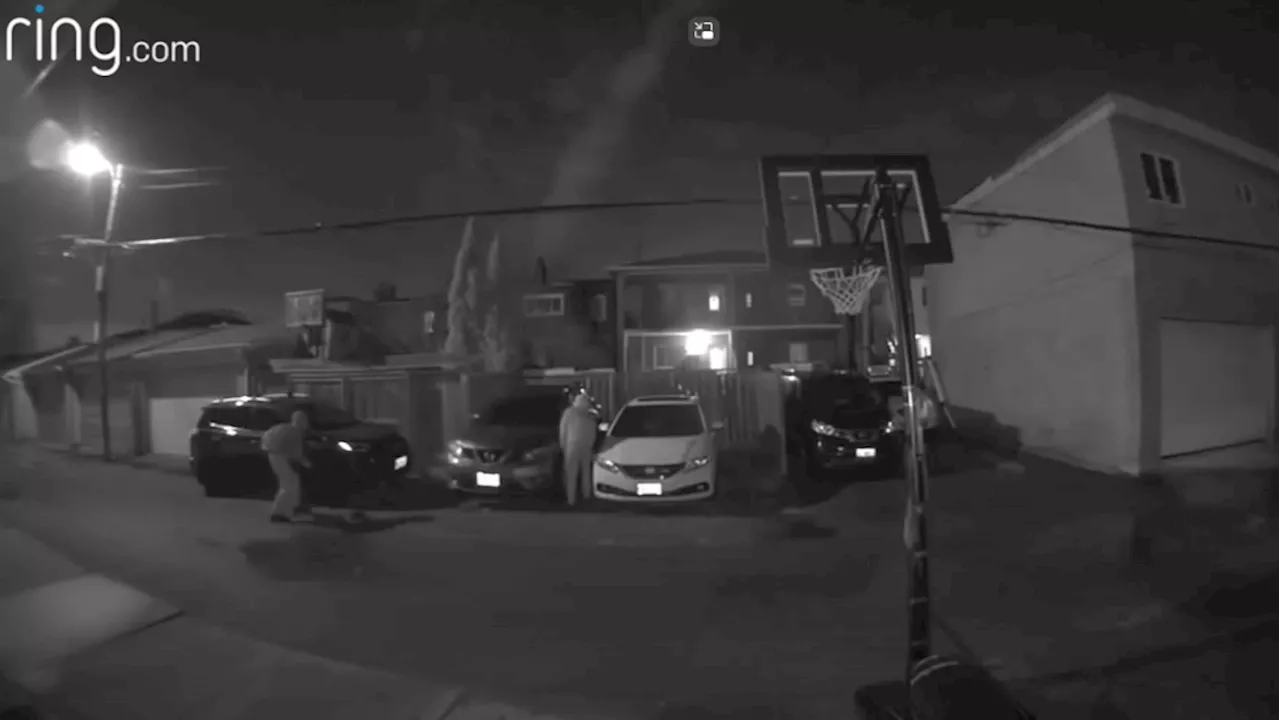 New video shows suspects slashing tires, spray painting vehicles in Toronto’s west end