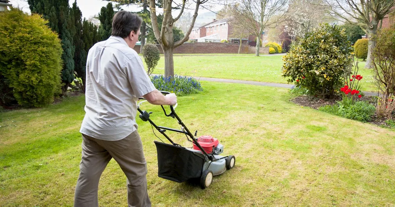 'My neighbour mowed my lawn without permission - then tried to charge me for it'