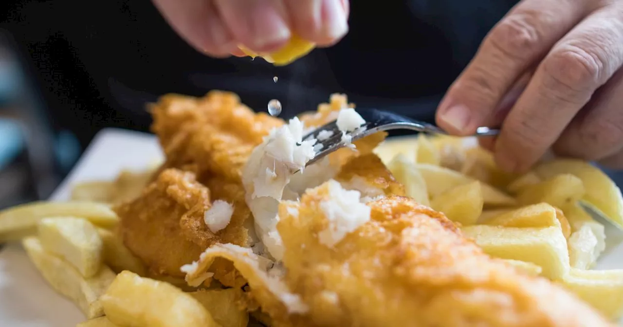 Scotland's Top Chippies Named in Prestigious Fry Awards