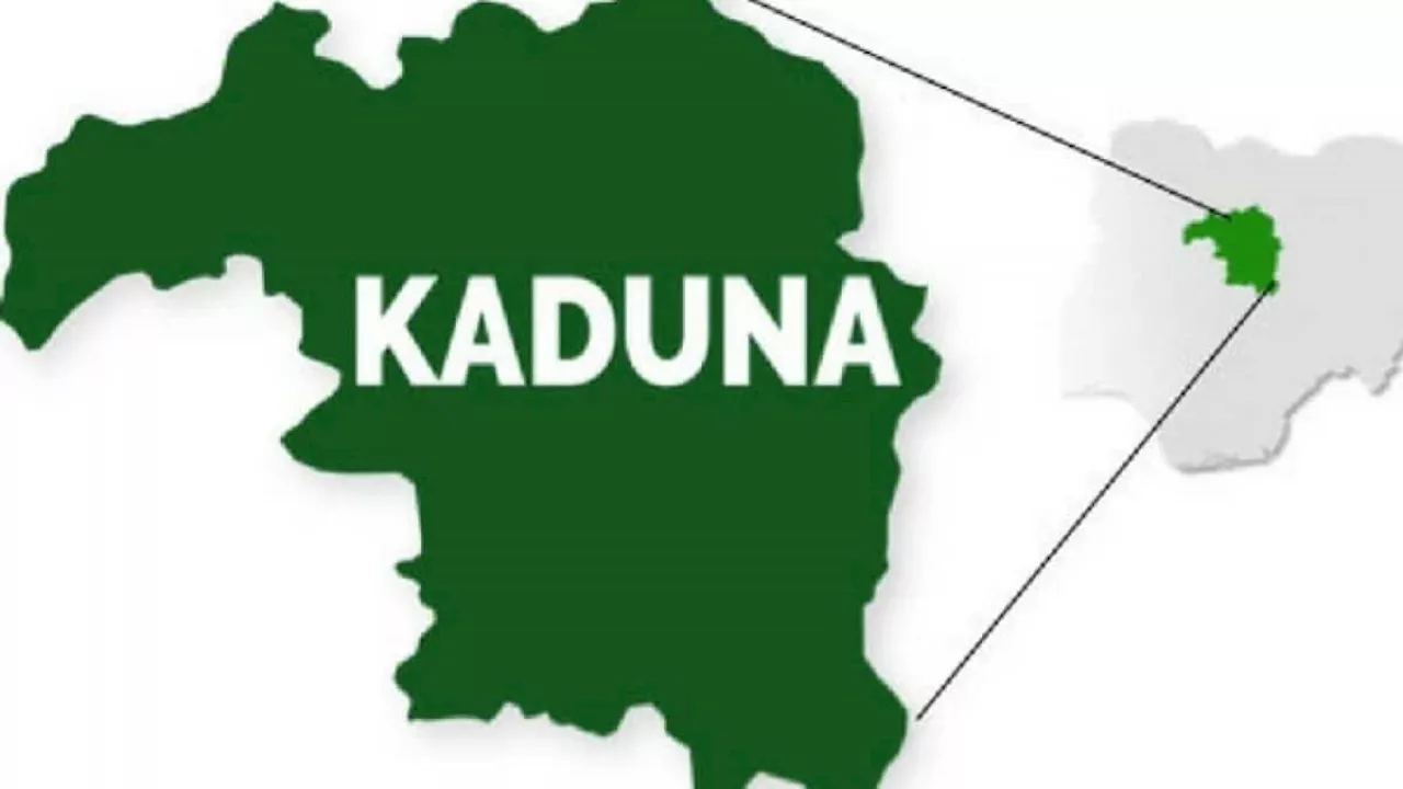 Bandits’ informant arrested with stolen cow in Kaduna market