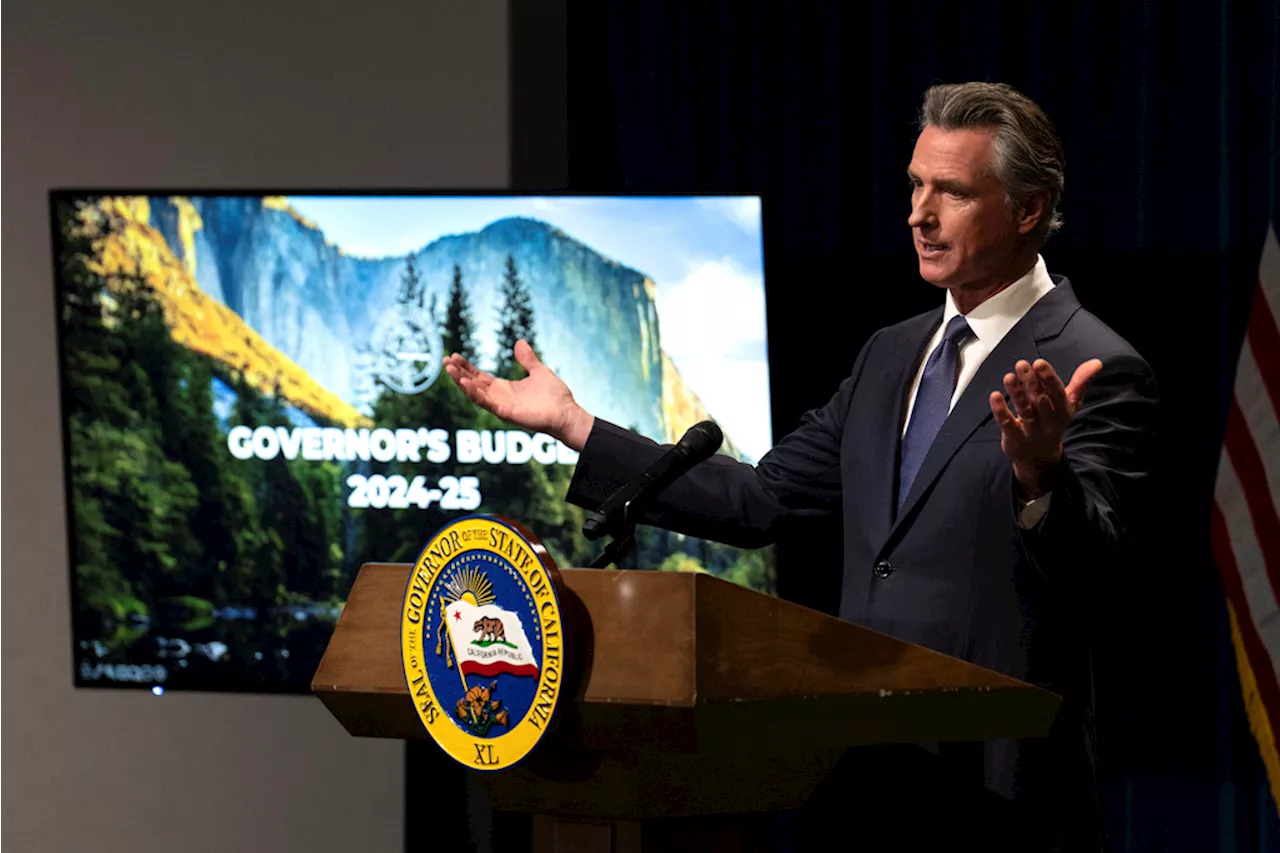 California lawmakers propose plan to slash $73 billion budget deficit using Newsom’s ‘rainy day funds’