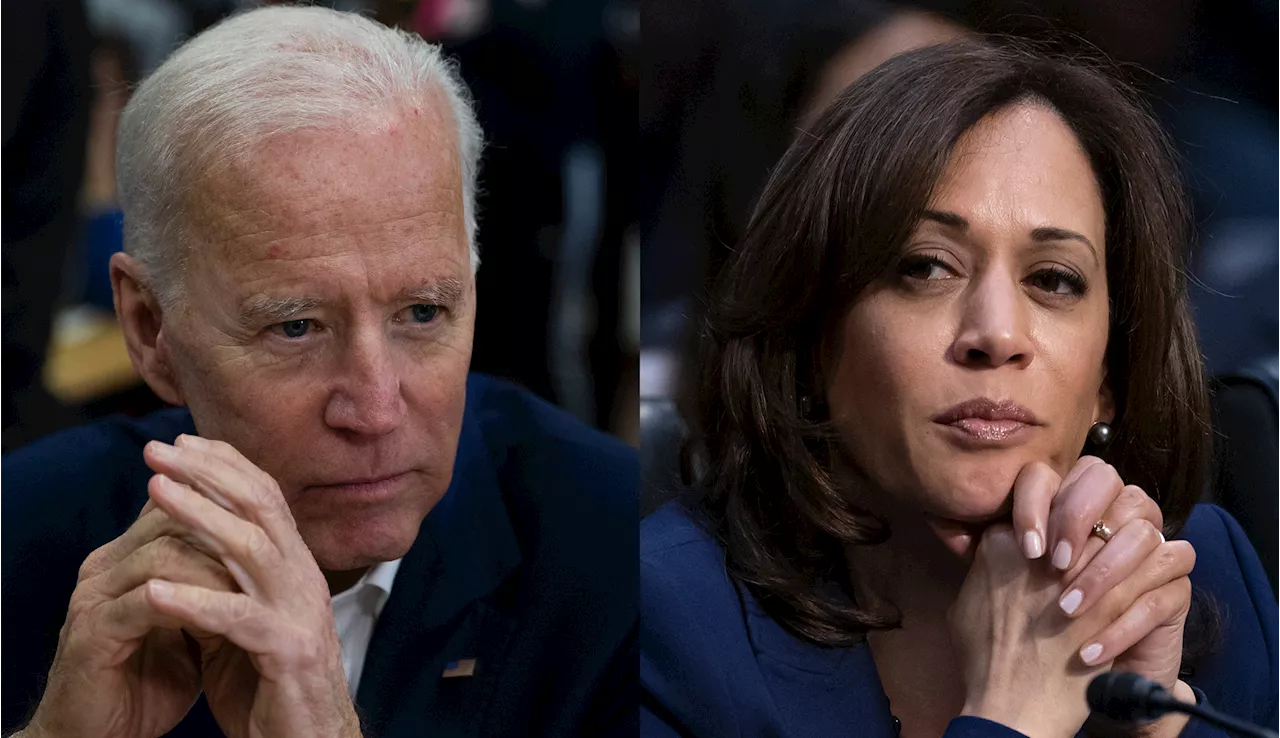 The Biden-Harris day care disaster