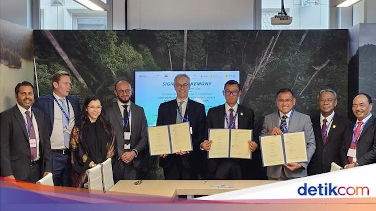 Pupuk Indonesia-PLN Gaet ACWA Power Kembangkan Green Ammonia di Gresik