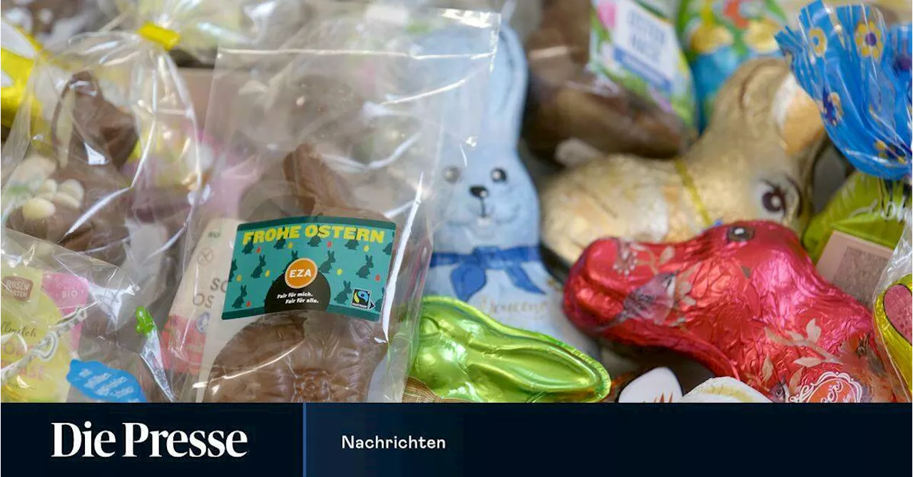 Schokolade: Zehn Osterhasen von Branchenriesen weder sozial noch ökologisch produziert