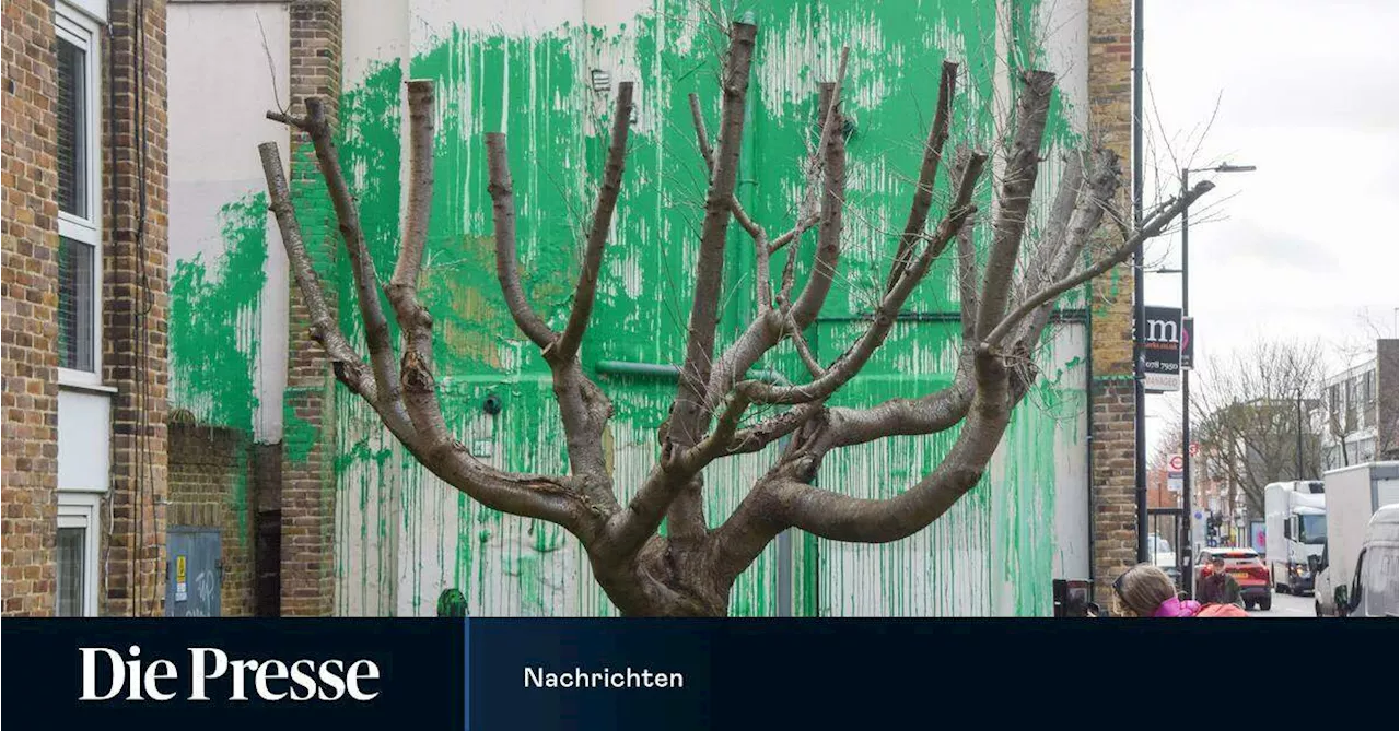 „Todsicher“ ein Banksy? Spekulationen über begrünten Baum