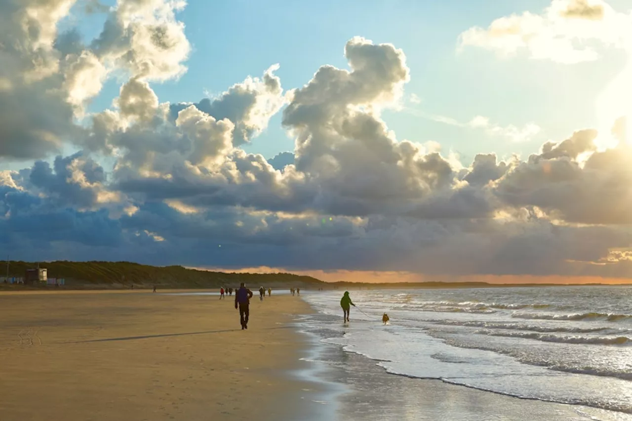 Holland mit Hund: Tipps für Renesse – teures No-Go für Camper