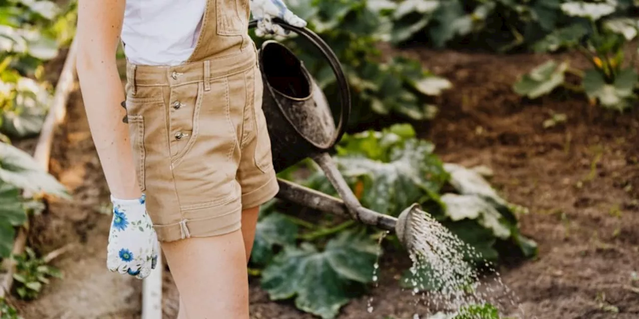 Gartenparadies mit Verstand: Wie Sie Ihren Garten ökologisch und sparsam pflegen