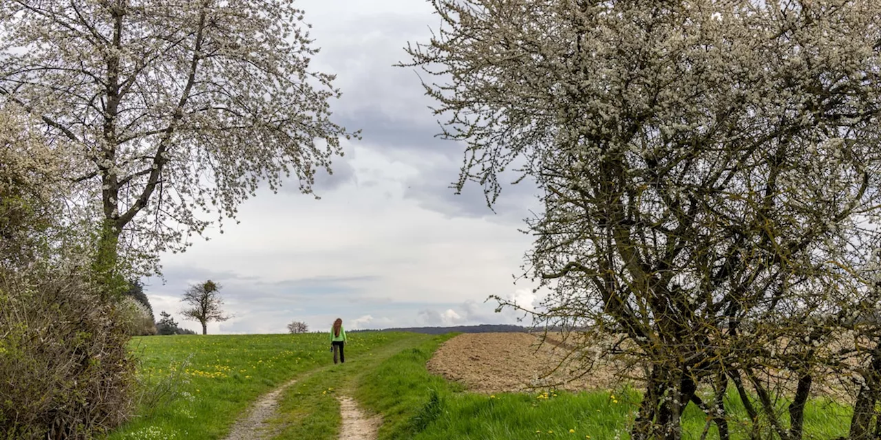 Wetter im Ticker: Milde Temperaturen in der neuen Woche - immer wieder regnet es