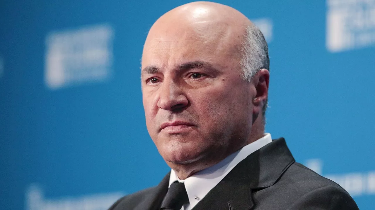 Kevin O'Leary 'forbids' couples to merge their finances, warns lacking financial identity could spell disaster