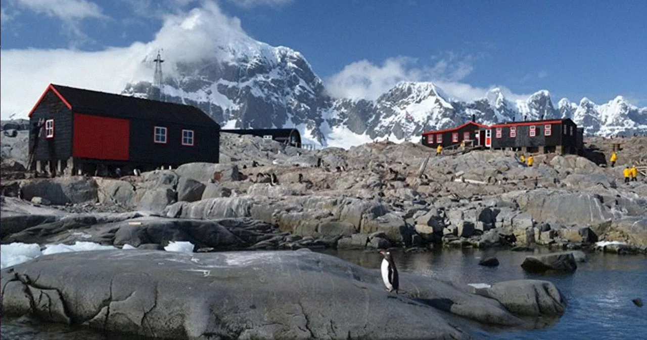 Antarctic Base Seeks Penguin Counter