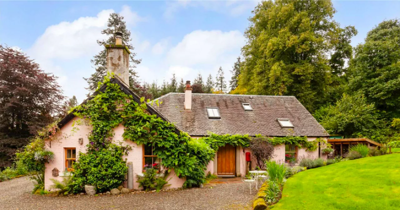 Fairytale Loch Lomond cottage and cabins just 45 mins from Glasgow up for sale