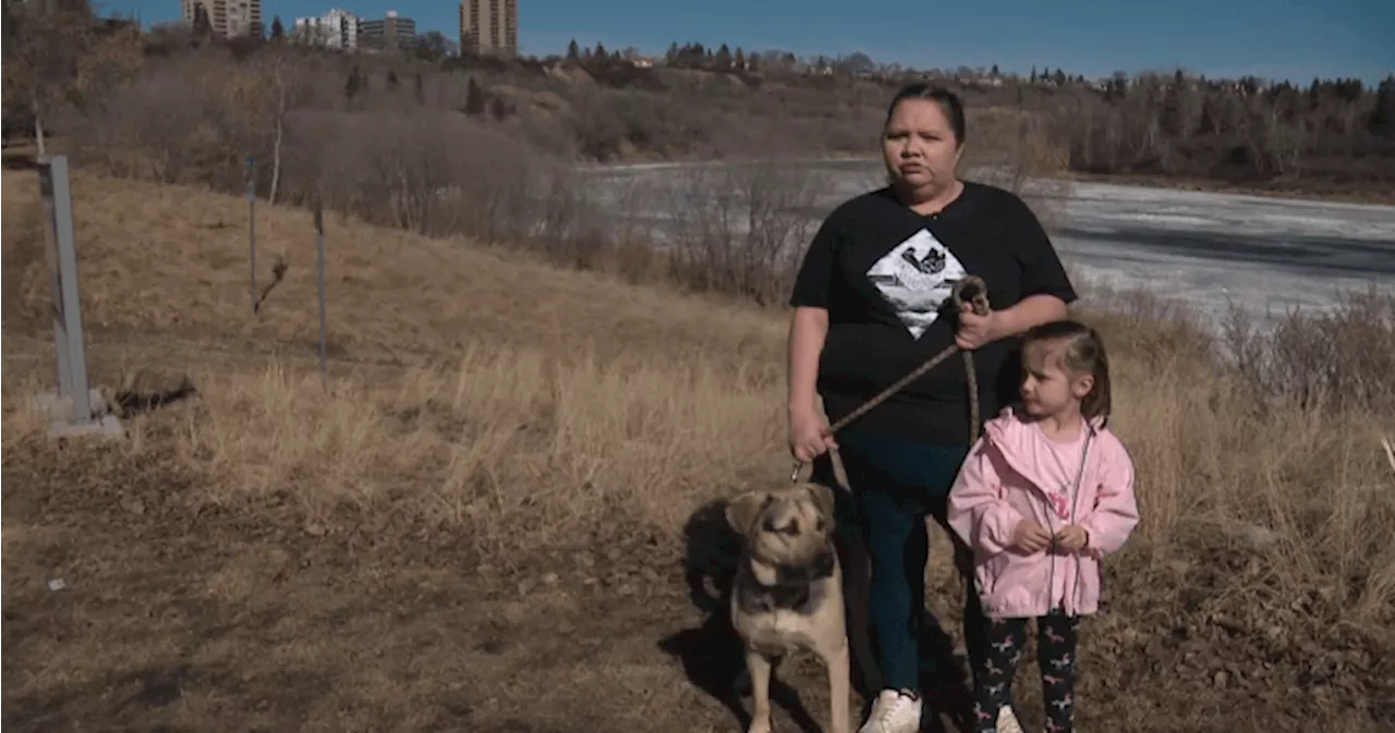 Good Samaritans rescue dog from Edmonton’s North Saskatchewan River