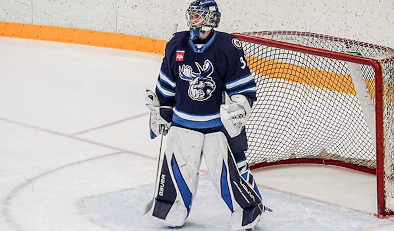 Moose goalie Milic’s perfect record earns him AHL player of the week honours