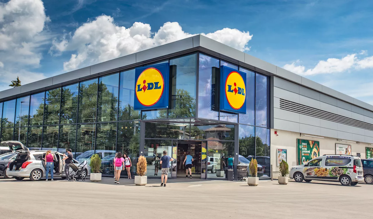 Must-have für den Garten: Bei Lidl gibt es eine Hollywoodschaukel für unter 100 Euro