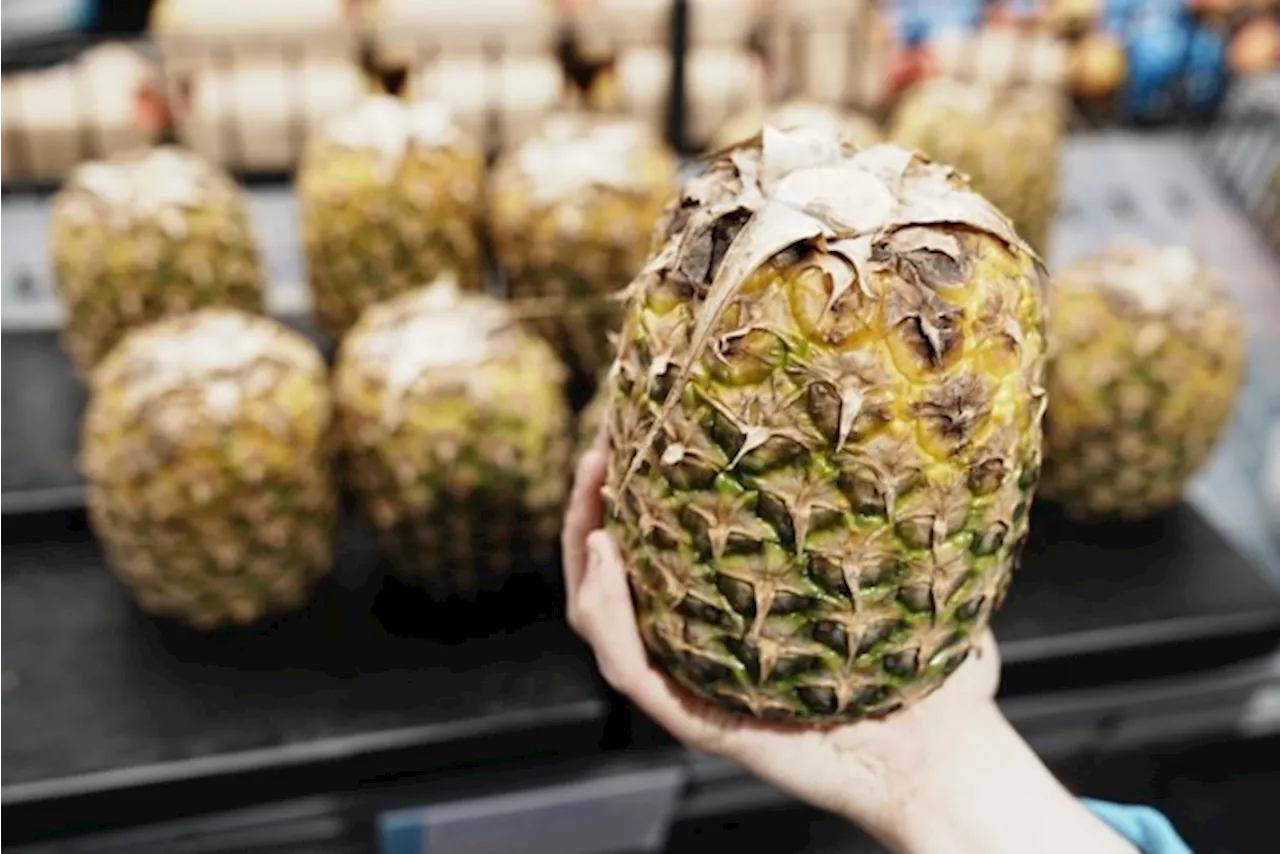 Ananas is zijn kroon kwijt: waarom Albert Heijn ananas voortaan zonder groen bladerdak verkoopt