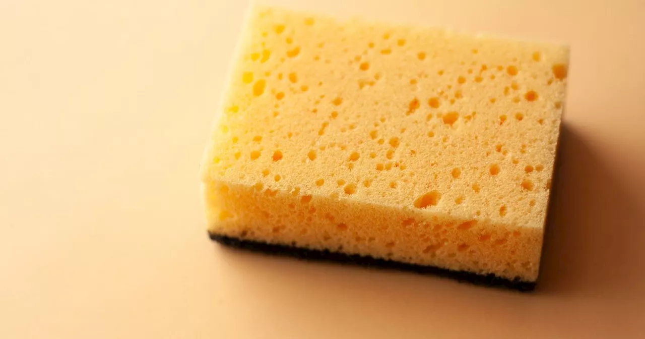 UK Gardeners Urged To Keep Hold Of Old Dishwashing Sponges For This Purpose