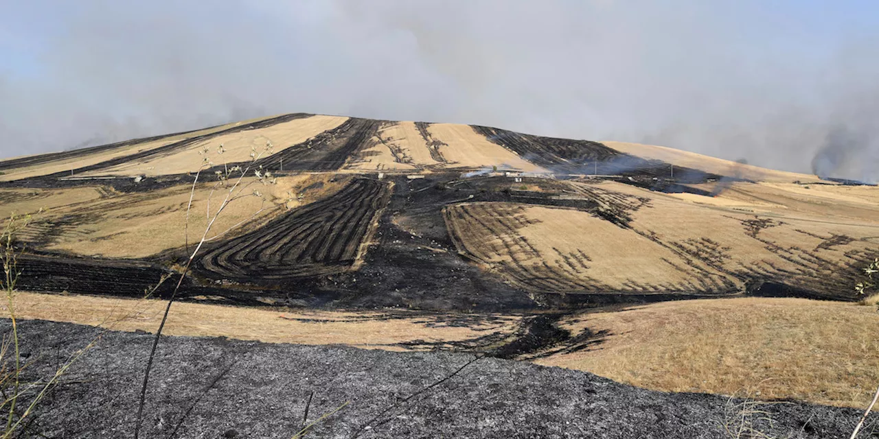 In Sicilia la siccità è sempre più grave