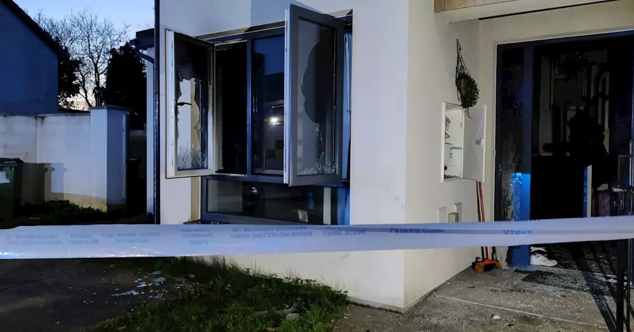 Accelerant used in Dublin firebomb attack that left 2 kids in hospital