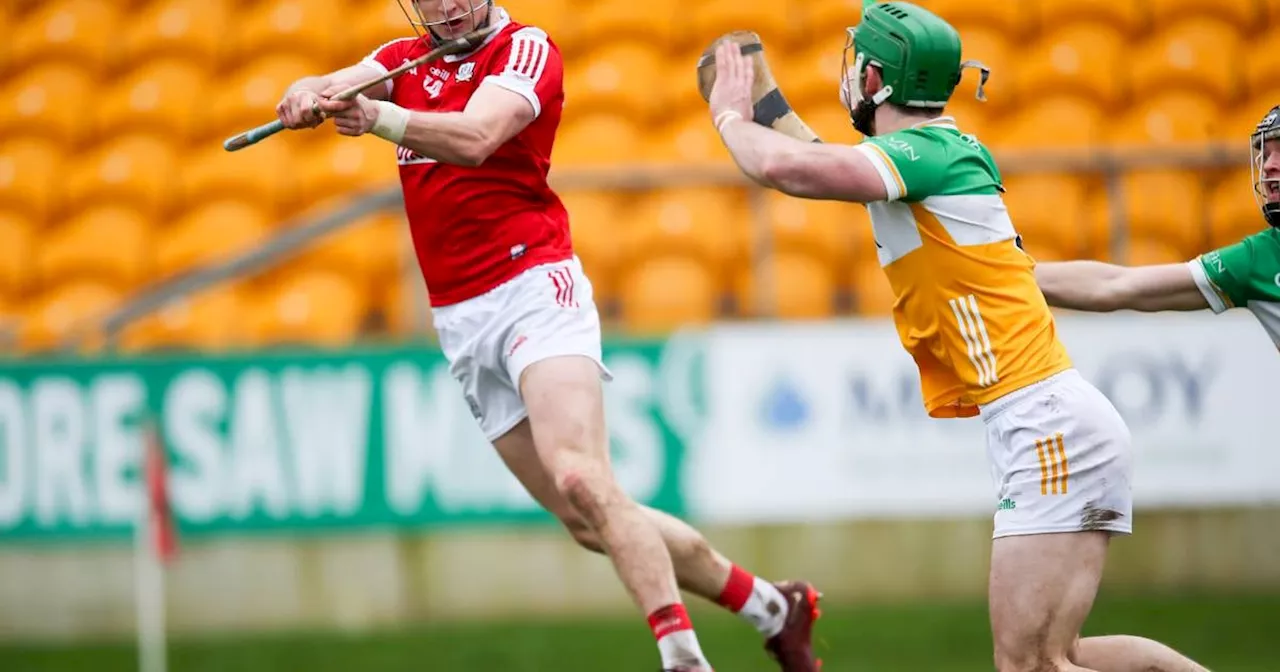 Cork’s Alan Connolly is a rare and precious creature in the modern game