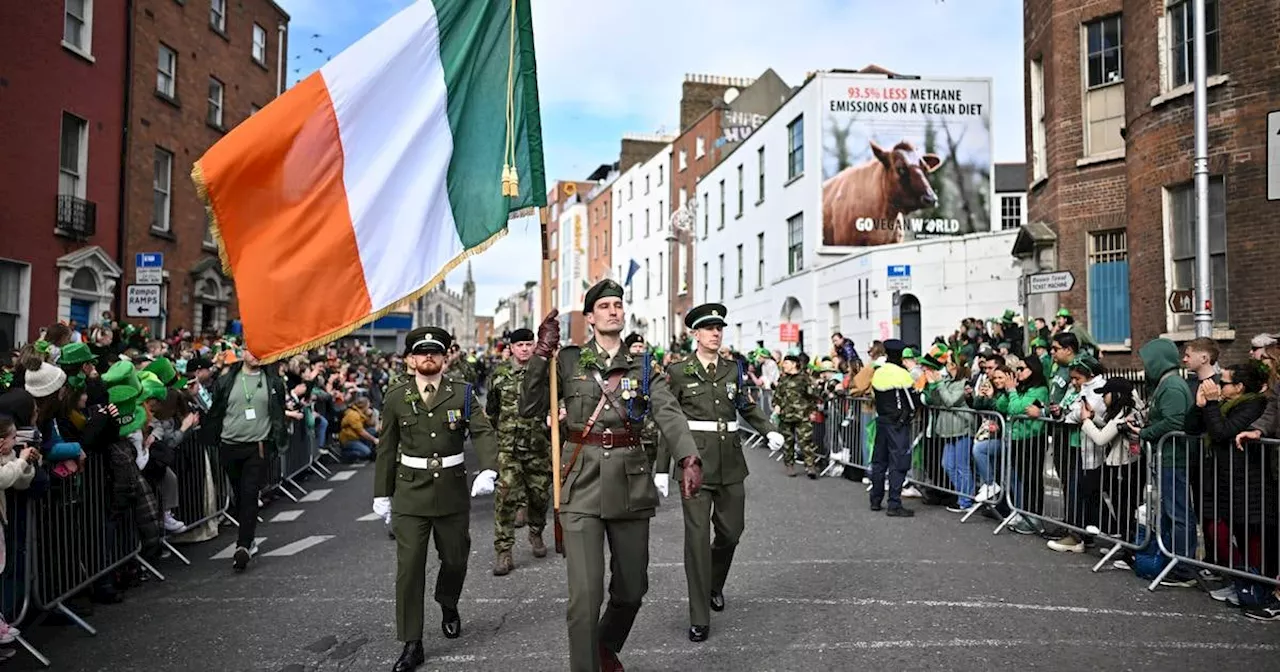 Lack of medical screenings creating ‘bottleneck’ for revitalising Reserve Defence Forces