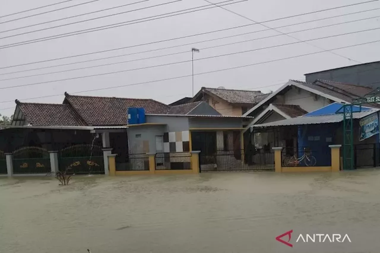 Enam Tanggul Jebol, 11 Kecamatan di Kabupaten Demak Terendam Banjir